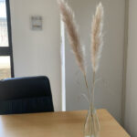 unnamed (2)